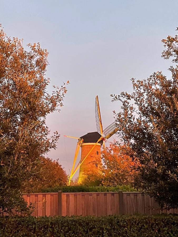 Gastenverblijf Bij De Buuren Dirksland Eksteriør billede