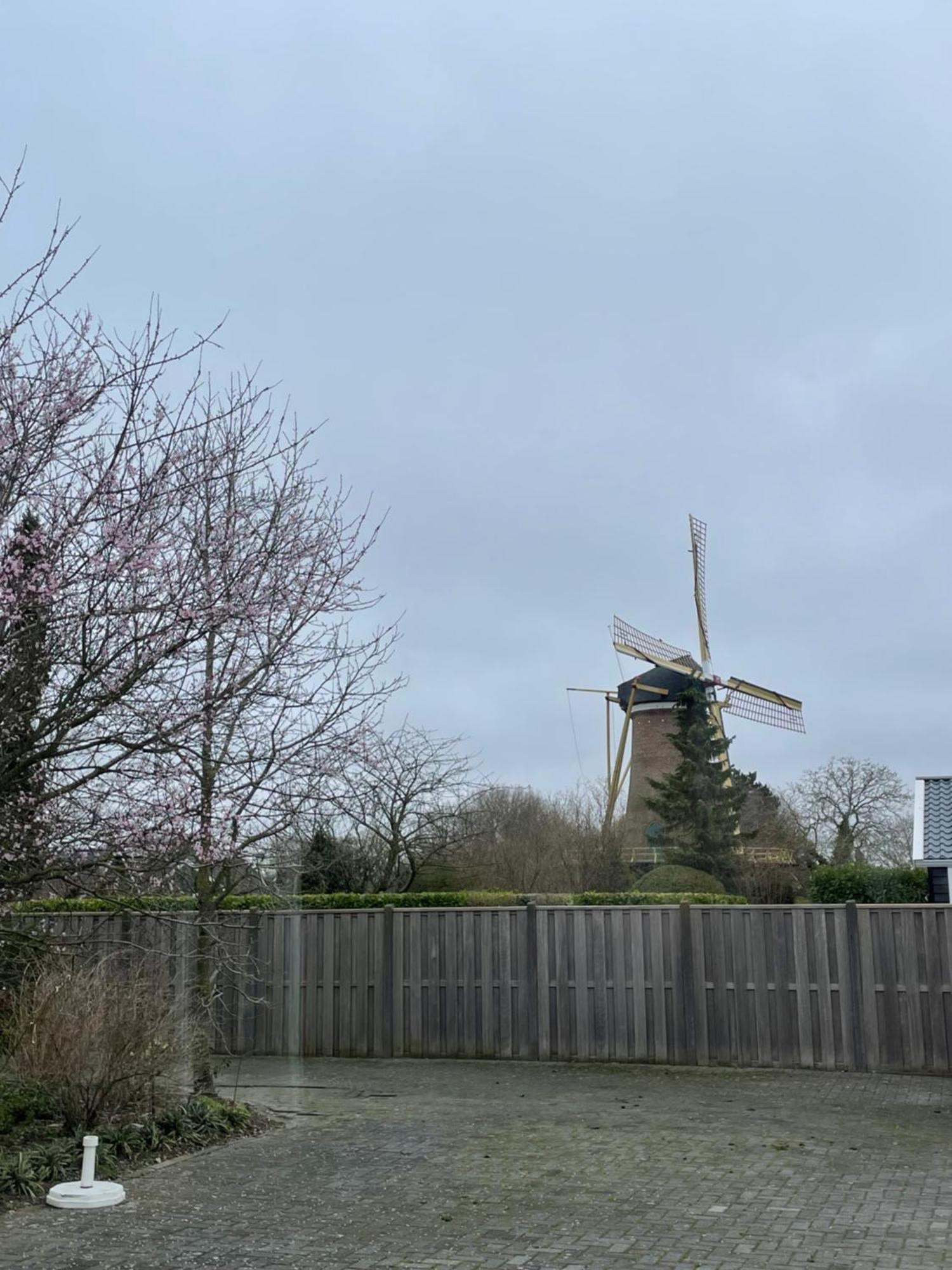 Gastenverblijf Bij De Buuren Dirksland Eksteriør billede